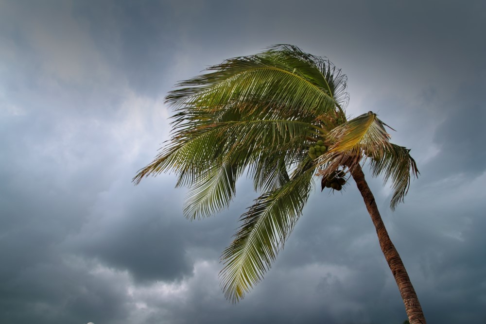 Timesharing in Hurricane Season
